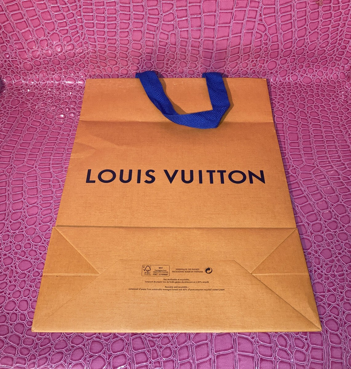 Louis Vuitton Luxury Shopping Bag